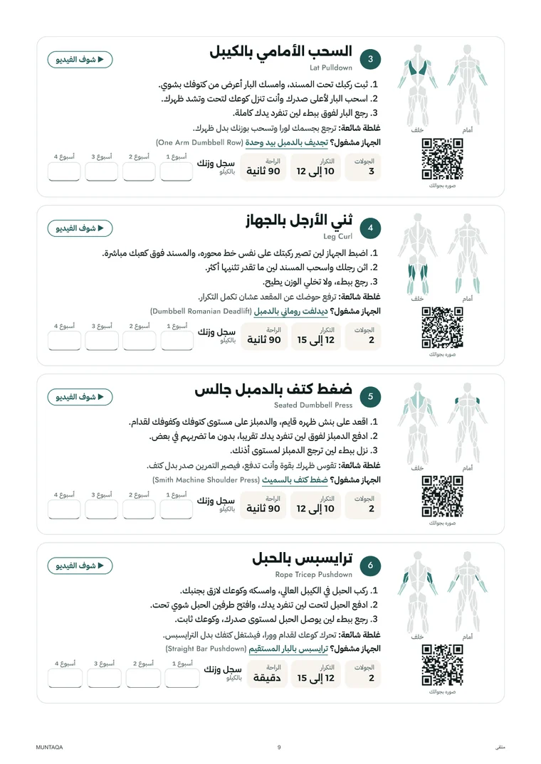 صفحة من البرنامج فيها بطاقات التمارين